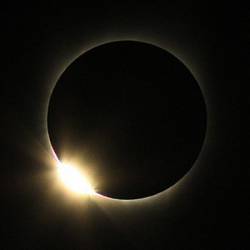 Murder Therapy : Resilience